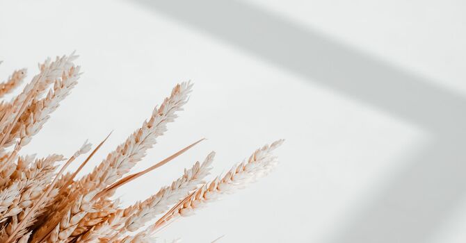 Restorative Oncology Facial