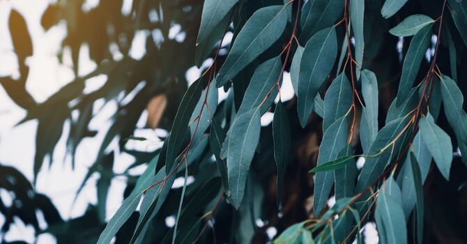 Acne Consultation- Face Reality Certified Acne Specialist